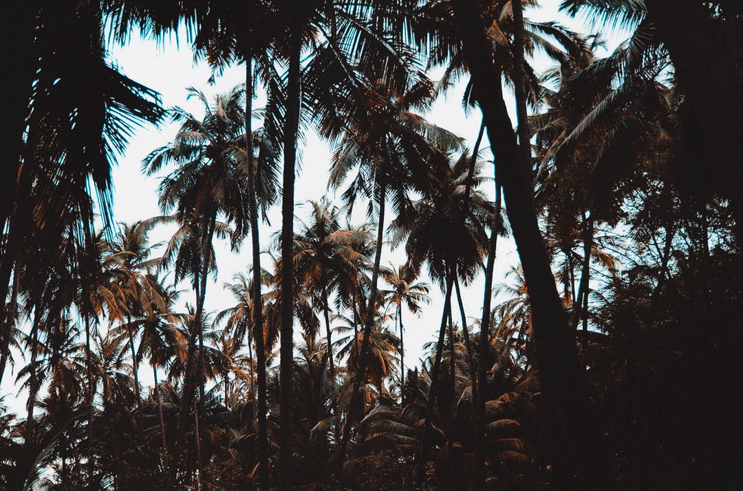 Goa